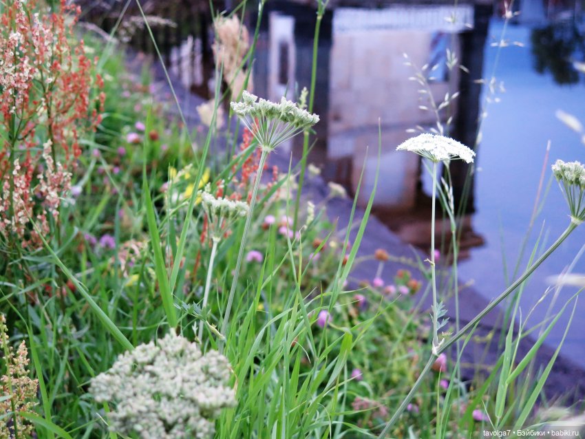 Бохо у реки. Голубое — Куклы Мукла (Mooqla) Полины Волошиной: легенды