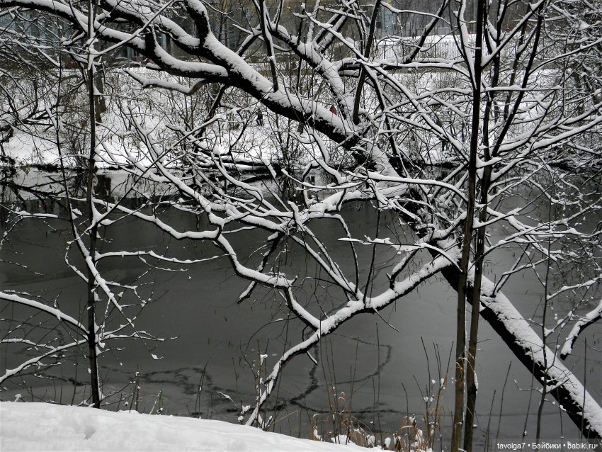 Зимняя сказка для сказочных персонажей (фото 5)