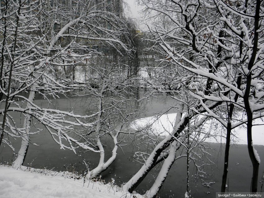 Зимняя сказка для сказочных персонажей (фото 3)