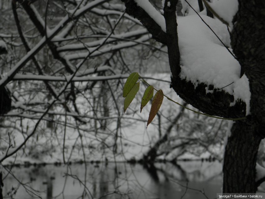 Зимняя сказка для сказочных персонажей (фото 2)