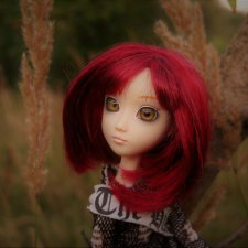 Редкая Hestia Серый Волк и Русская Осень