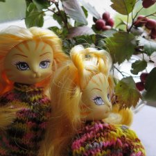 Золотые Кошечки в Золотой Осени