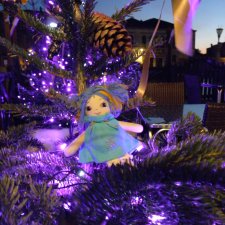 С Новым Годом от девочки по имени Радость из Венеции.