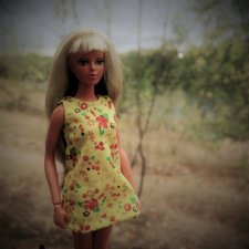 Последний летний вечер, когда ты шаман.