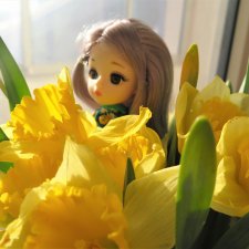 Весна, баболи и котики.