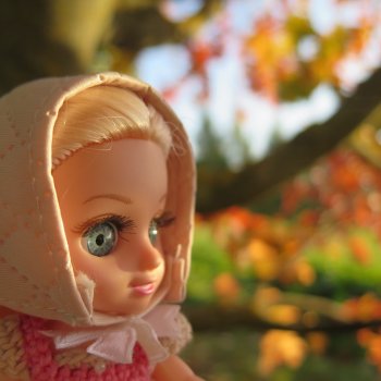 Первое осеннее 2023.