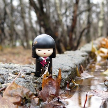 Kimmidoll и Little Apple Dolls