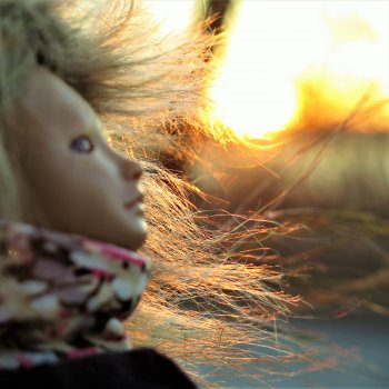 Солнечный ноябрь