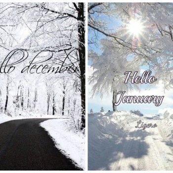 Цветотипы - переход Декабрь-Январь