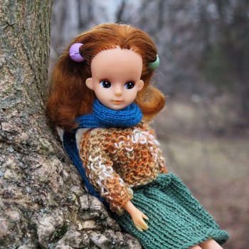 Licca1970х и компания