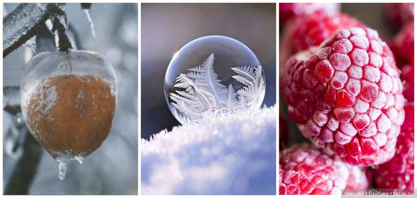 Цвет: Декабрь, Январь, Февраль (фото 4)