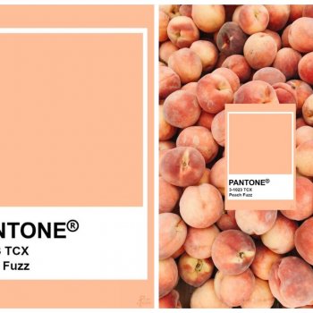 Модный цвет 2024