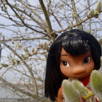 Лило и весна в Москве