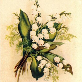 Май, ландыши, мода 1950х