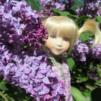 Ruby Red Siblies Стелла в Сиреневом парке в Москве