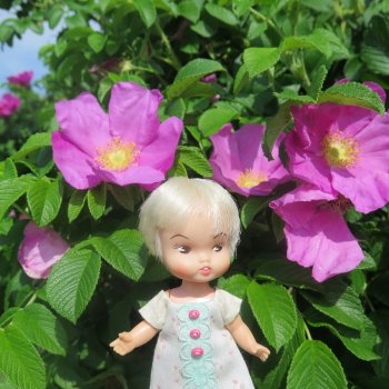 6.6.2024. у реки