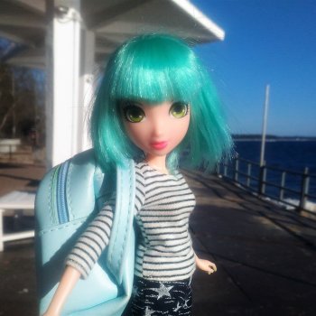 Джой Ле Фрог 2020-2021-2022