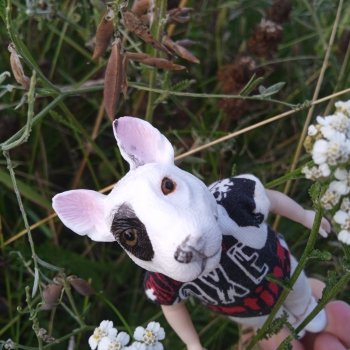 "Как я провёл лето" 2024