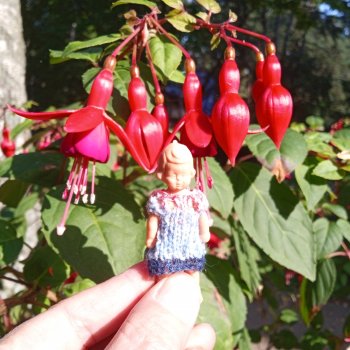 Утро в Светлогорске фуксия