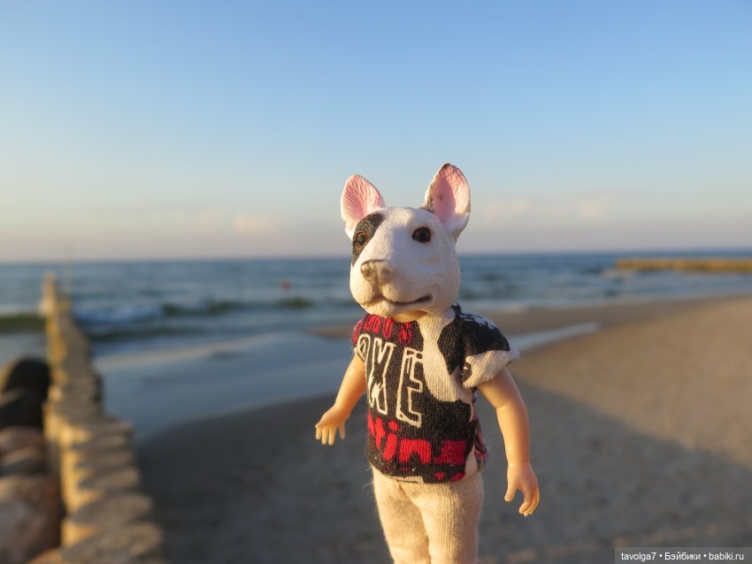 Лунные циклы от Мабона до Самайна 2024 и моя Балтика 2024