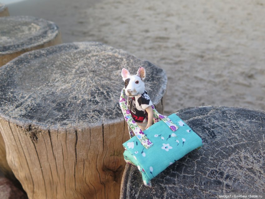 Лунные циклы от Мабона до Самайна 2024 и моя Балтика 2024 (фото 4)