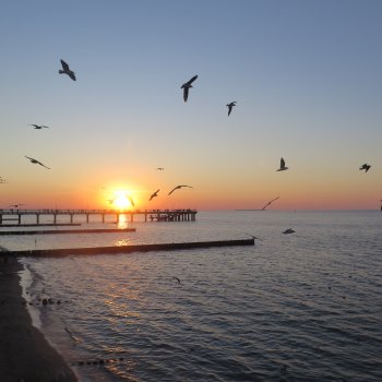 "Каждый октябрь - тот же октябрь"