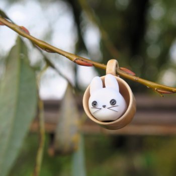 Cappuccino Кролик и компания в осени