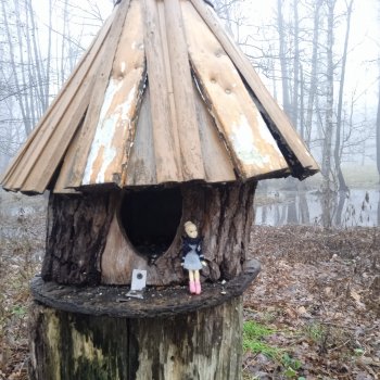 Моль, туман, парк Дубки