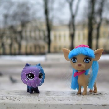 "Вот, и зима, с надеждой..."