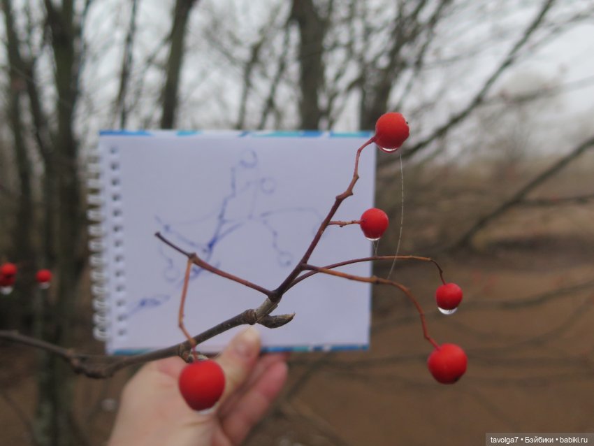 Итоги 2024 — Коллекции игровых кукол (Playline): фото полок