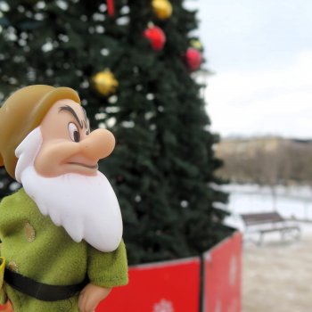 Внезапные жители в деревне у Маяка