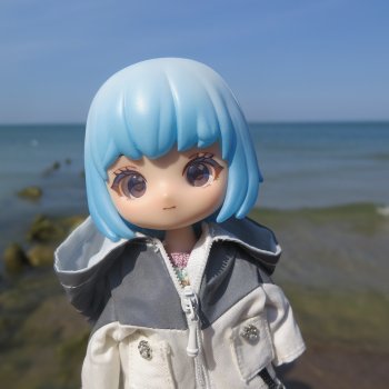 "Нам нужны адвокаты и переводчики..."