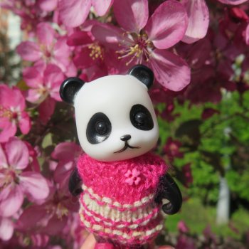 Ми-ми-ми-ми, мини панды!