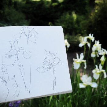 Зарисовки с натуры в Ботсаду Петра Великого