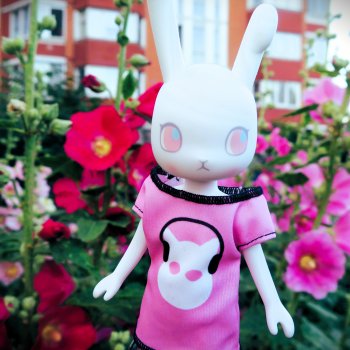 Зарисовки мальв в четыре утра