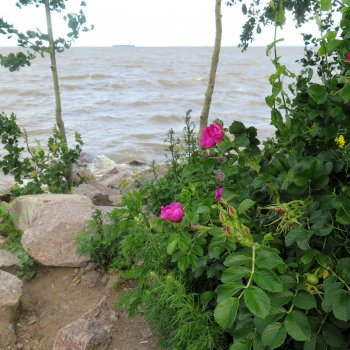 "Два осколка от большей судьбы"