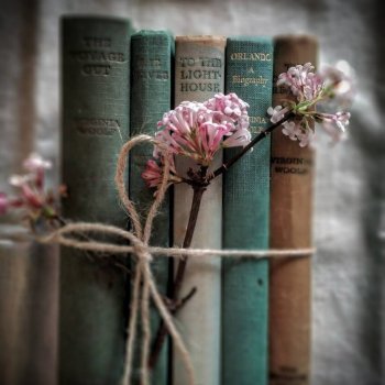 Мягкие цвета на границе лета-осени