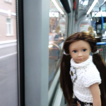 "Когда кажется, что аммонит этого города..."