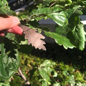 Работа с бронзой из личных наблюдений