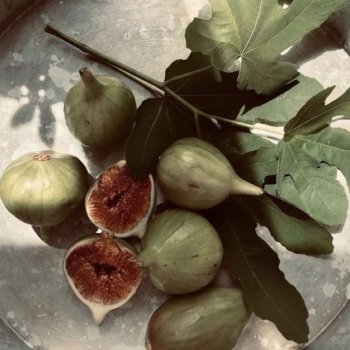 Инжир - цвет и оттенки