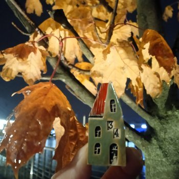 Подмосковный дзен середины осени