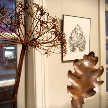 Выставка Трын-Трава 2025