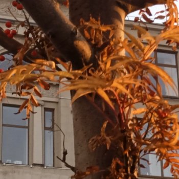 "Может быть, константа - цвет глаз"