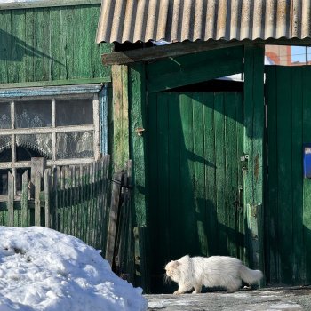 Декабрь в России уют