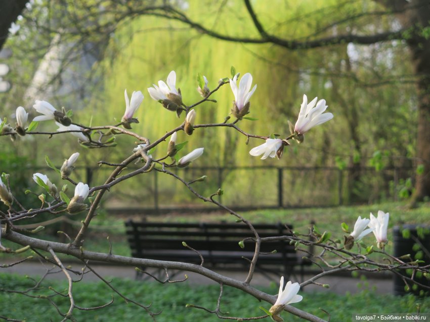 Итоги 2025 — Коллекции игровых кукол (Playline): фото полок