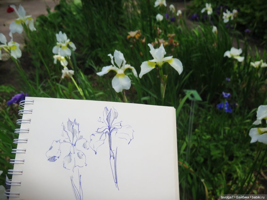 Мой 2025 | Бэйбики Мой 2025 — Болталка и разговоры обо всем: жизнь (фото 4)