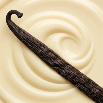 Тёплые, "съедобные" оттенки белого цвета