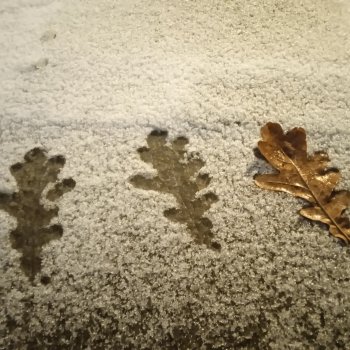 "Претендовали ли мы на надежду?"