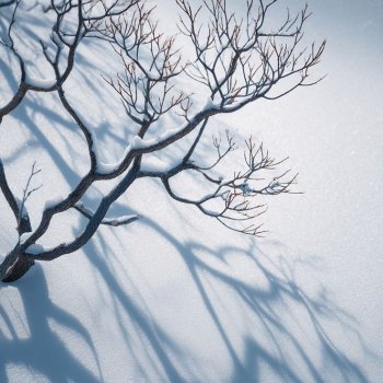 Зимняя графика ноябрь-март