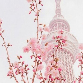 Весна, Сеул, Ханбок